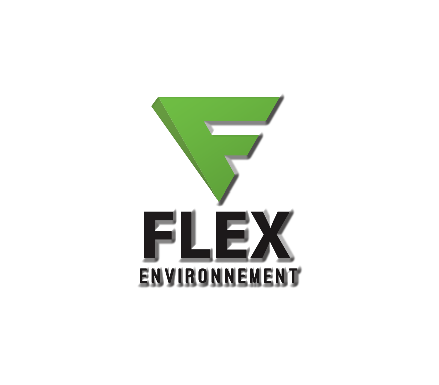 FLEX GROUP | Accueil | Présentation